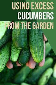 Check spelling or type a new query. 16 Ways To Use Excess Cucumbers From The Garden