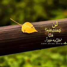 see this instagram photo by sukar012 295 likes islamic quotes quran islam facts arabic love quotes