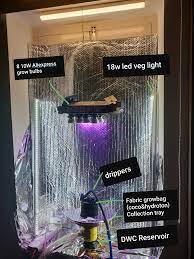 Learn about plant grow lights, par, photosynthesis, & spectrum. Dutch Bucket Dwc Hybrid For Northern Lights Auto Will This Work Tips And Reviews Please Hydroponics