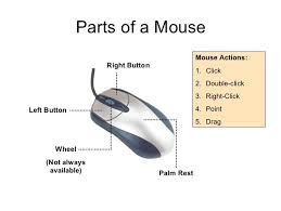 Bees & honey is a free online computer mouse control game that allows students to develop fine motor skills in order to control a computer mouse. Mouse Teaching Resources