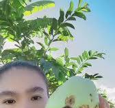 เกษตรเบาเบา: ไฮไลท์กิจกรรมสด