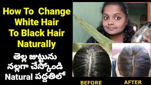 Melanin is responsible for the color of hair you're born with, which is based on genetics. How To Change White Hair To Black Hair Naturaly Ridge Gourd Oil For Grey Hair Turn White To Black Youtube