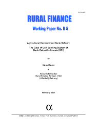 Program loans to support the. Pdf Agricultural Development Bank Reform The Case Of Unit Banking System Of Bank Rakyat Indonesia Bri Hans Dieter Seibel Academia Edu