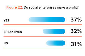 There are many social enterprises that have been actively delivering social values and addressing social and environmental issues in the community. Malaysia Profit Proves Problematic The Social Enterprise Magazine Pioneers Post