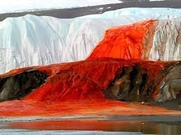 In the isolated McMurdo Dry Valleys of ...