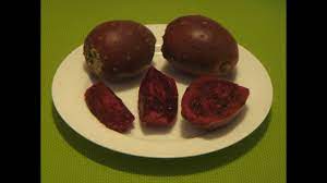How to eat a prickly cactus pear is a fruit that grows in mexico and north america. How To Eat Prickly Pear Cactus Pear Cactus Fruit Youtube