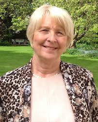 NON-EXECUTIVE (ELECTED) DIRECTOR