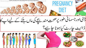 42 scientific pregnancy diet chart in urdu