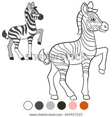 Showing 12 coloring pages related to zebra print. Zebra Print Coloring Pages At Getdrawings Free Download