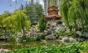 The Beautiful Chinese Garden Of Friendship At Darling Harbour Chinese Garden Japanese Garden Garden Tours