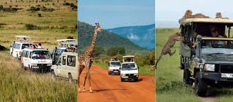 We have a fantastic range of safari packages & deals right here. 400 Travel Agencies Tour Companies In Kenya Urban Kenyans