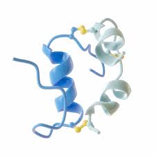 Image result for Insulin