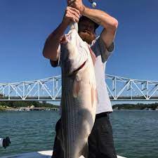 As our lead guide captain bert is responsible for training and mentoring our guide staff. Smith Lake Fishing Guides Home Facebook