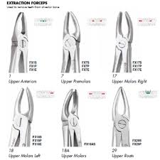 Gdc Extraction Forceps Standard