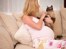 They require attention and care around the clock. How To Safely Introduce Cats And Newborn Babies