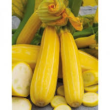 Courgette F1 Sunstripe Graines Baumaux Courgette Graine Legumes Minceur