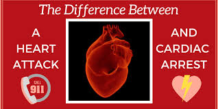 Cardiac arrest vs heart attack. The Difference Between A Heart Attack And Cardiac Arrest