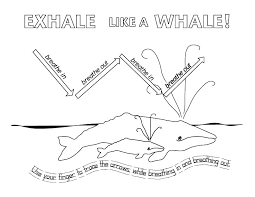 Breathe — zabo(8d)arhangel by tishka 03:19. Exhale Like A Whale U S National Park Service