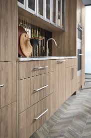 Looking For New Cabinet Material Options In Relevant Colors And An Easy Care Attitude Look To Omega For The Late Omega Cabinetry Laminate Cabinets New Cabinet