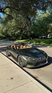 Image result for Nori Green 2022 LC