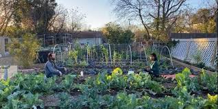 Saturday * 27 february 2021 * 9:17:19 am central european time (cet) moon sign: Cc Hlbgbnqfk M