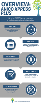 Converting an existing term insurance policy might be needed for several reasons, including a change in health that would prevent getting new coverage, the need for permanent protection, or the desire. American National Anico No Exam Life Insurance Your Guide