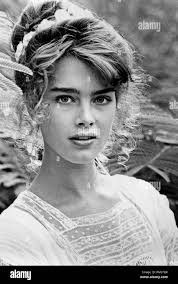 Black brooke immagini e fotografie stock ad alta risoluzione