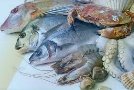 Makanan dengan sumber protein super tinggi. Selain Ikan Salmon Inilah Sumber Ikan Laut Berprotein Tinggi Sfidn Science From Indonesia Articles