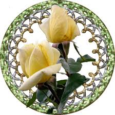 Pin By Vedrana Rog On The Queen Of Flowers Beautiful Roses Plant Leaves Flowers