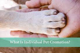 Telephone us on at durham on 0191 373 5551 or larkhall on 01698 888 500 to discuss and make the final arrangements for your pet. What Is Individual Pet Cremation Dignity Pet Crematorium