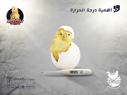 توقعات الاحوال الجوية و حالة طقس اليوم و غدا و احوال الطقس لـ 14 يوم في الرياض و السعودية و موقعك وكافة المناطق والمدن في الوطن العربي والعالم ، بالإضافة الى اخبار الطقس اليوم. Pin On Ø§Ø®ØªØ§Ø± Ø§ÙØ¶Ù„ ÙƒØªÙƒÙˆØª