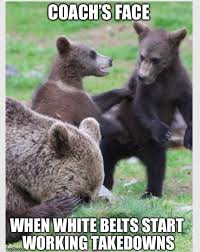 Pin By Gordon Harris On Jiu Jitsu Bjj Humor Martial Arts Humor Bjj Memes