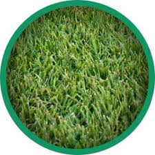 Tifway 419 hybrid bermuda grass. Sod Products Craft Turf Farms Foley Alabama