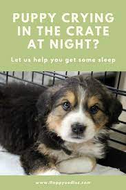 Puppy Crying In Crate At Night Here S Help Happy Oodles Kennel Training A Puppy Puppies Sleeping Puppies