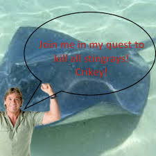 Maybe you would like to learn more about one of these? Facebook