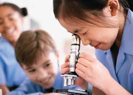 Essex Local Area Agreement 2008-2011