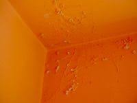(if so recommendations on filler please!) or should i get the board plaster skimmed back in? How To Repair Water Damaged Wall Plaster Plaster Walls Plaster Repair Water Damaged Ceiling