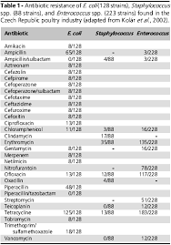 An Alternative For Antibiotic Se In Poultry Probiotics