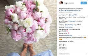 We did not find results for: People Think Prince Harry Posed In A Golden Girls Sweatshirt On Meghan Markle S Deleted Instagram