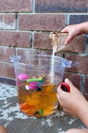 sink or float experiment for toddlers