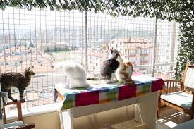 apartmanda kedi besleyenler icin balkon kafes teli muhammet goktas