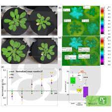 We did not find results for: Plant Cell Environment Home Facebook