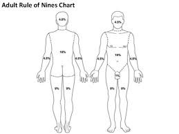 burn bsa diagram wiring diagram srconds