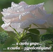 что можно и что нельзя делать на сретение господне Pin Ot Polzovatelya Valentina Lyutvinskaya Na Doske 9 Fevralya V 2020 G 9 Fevralya Fevral