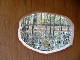 The barn duck house plans. View From Inside Of Wood Duck Nest Box Nature Into Action