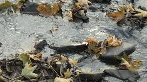 See more ideas about gif, aesthetic gif, nature gif. Grunge Gifs Primo Gif Latest Animated Gifs