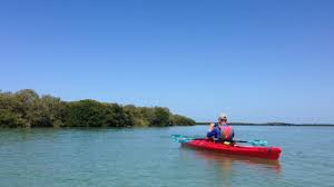 Upload, livestream, and create your own videos, all in hd. Coastal Kayak Tours Eco Kayaking Adventures St Pete Beach