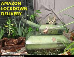 Check out the funniest memes, funny gifs and hilarious videos that make you laugh out loud in public! Amazon Lockdown Delivery Lolcats Lol Cat Memes Funny Cats Funny Cat Pictures With Words On Them Funny Pictures Lol Cat Memes Lol Cats