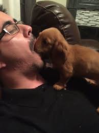 Hailey Hiller (hahiller)