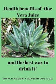 Prickly pear cactus health benefits1. Aloe Aloevera Aloeverajuice Health Benefits Of Drinking Aloe Vera Juice Www Ithoughtyouknewblog Com Aloe Vera Juice Aloe Vera Aloe Vera Drink